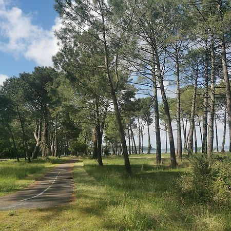 Appartements Au Coeur Du Golf, Proche Du Lac Et Velodyssee Biscarrosse Exterior foto