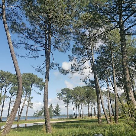 Appartements Au Coeur Du Golf, Proche Du Lac Et Velodyssee Biscarrosse Exterior foto